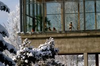 Puhajarve Spa Hotel