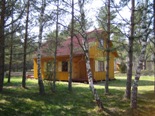 Dzintarini