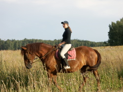 Horseback riding