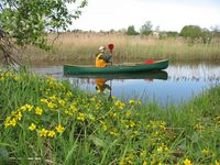 river inspection