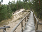Pūrciema Baltā kāpa