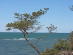 Saaremaa