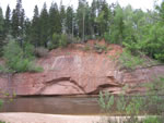 Gauja