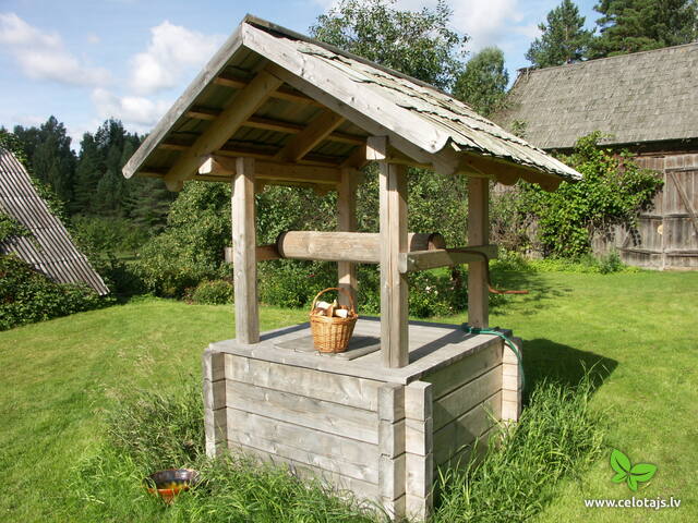 118_d6.jpg