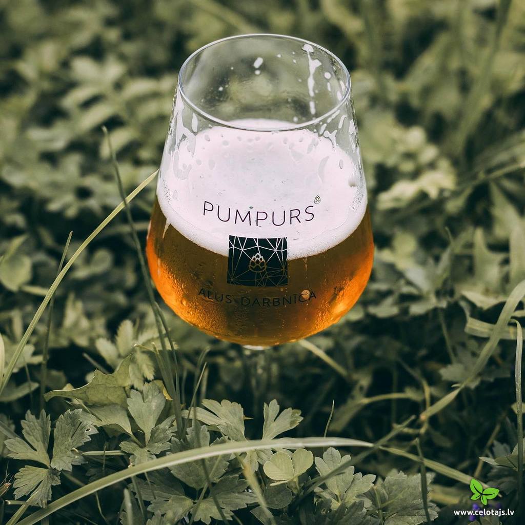 Pumpurs - Info