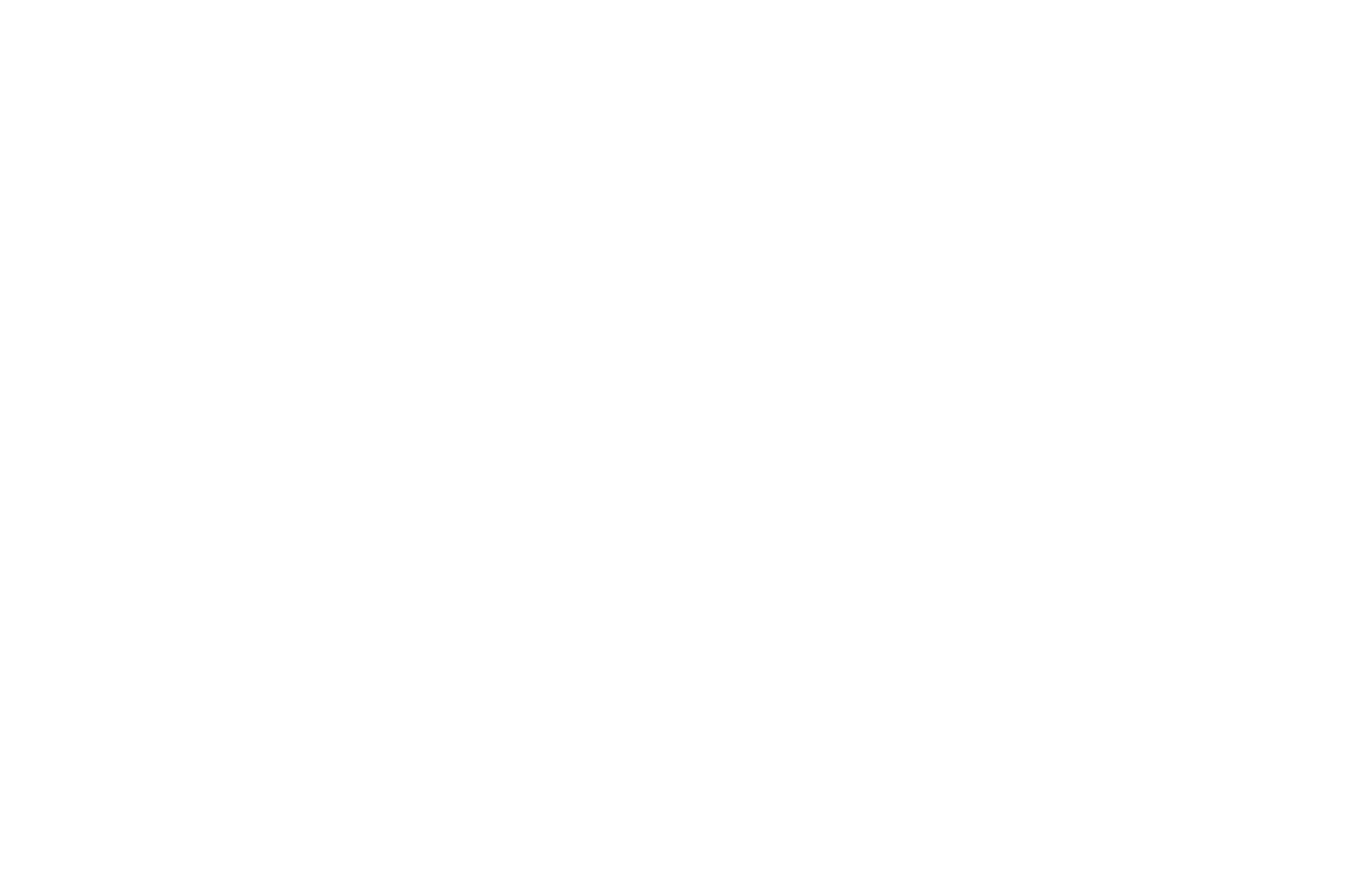BNT_PRIMARY_logo_OUTLINE_white.png