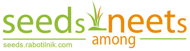 Logo_SEEDs_among_NEETs.jpg