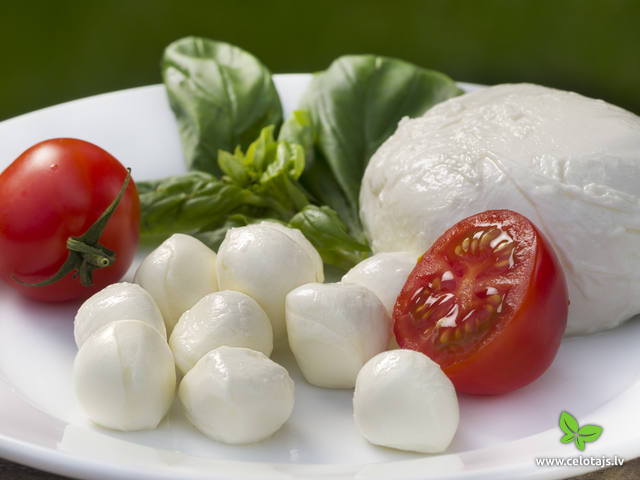 Mocarella
