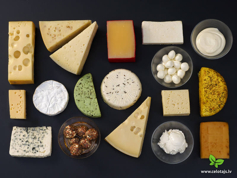 Cheeses in Latvia