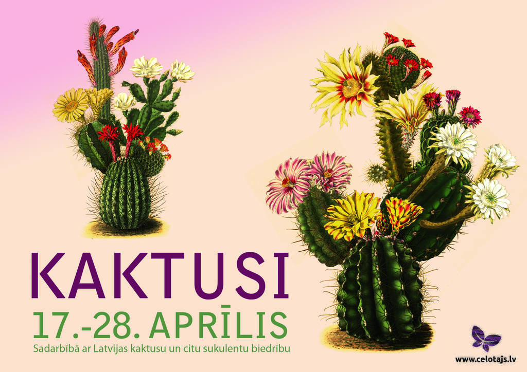 Kaktusu Izstade Latvijas Universitates Botaniskaja Darza