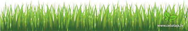 grass_PNG10855.png